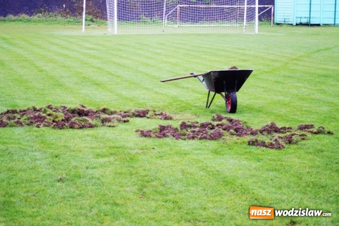 Zdjęcie w galerii na portalu naszwodzislaw.com: Dziki uszkodziły murawę na boisku piłkarskim w Mszanie, trwają prace remontowe  wiadomości z regionu