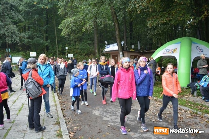 Zdjęcie w galerii na portalu naszwodzislaw.com: Powiatowe Sztafetowe Biegi Przełajowe wiadomości z regionu