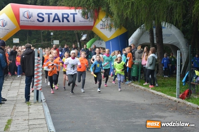 Zdjęcie w galerii na portalu naszwodzislaw.com: Powiatowe Sztafetowe Biegi Przełajowe wiadomości z regionu
