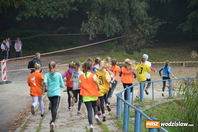 Zdjęcie w galerii na portalu naszwodzislaw.com: Powiatowe Sztafetowe Biegi Przełajowe wiadomości z regionu
