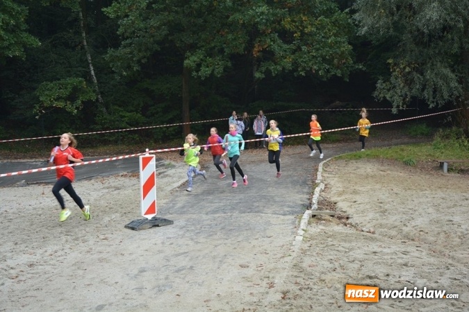 Zdjęcie w galerii na portalu naszwodzislaw.com: Powiatowe Sztafetowe Biegi Przełajowe wiadomości z regionu