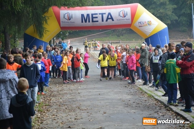 Zdjęcie w galerii na portalu naszwodzislaw.com: Powiatowe Sztafetowe Biegi Przełajowe wiadomości z regionu