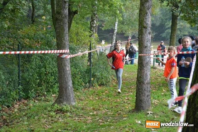 Zdjęcie w galerii na portalu naszwodzislaw.com: Powiatowe Sztafetowe Biegi Przełajowe wiadomości z regionu