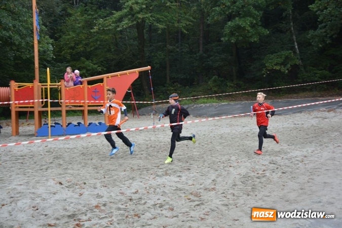 Zdjęcie w galerii na portalu naszwodzislaw.com: Powiatowe Sztafetowe Biegi Przełajowe wiadomości z regionu