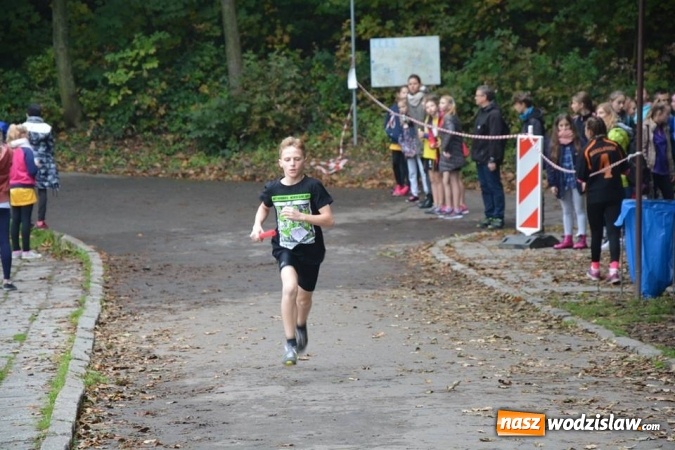 Zdjęcie w galerii na portalu naszwodzislaw.com: Powiatowe Sztafetowe Biegi Przełajowe wiadomości z regionu