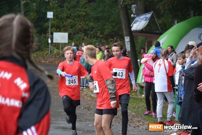 Zdjęcie w galerii na portalu naszwodzislaw.com: Powiatowe Sztafetowe Biegi Przełajowe wiadomości z regionu