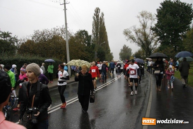 Zdjęcie w galerii na portalu naszwodzislaw.com: IX Żorski Bieg Uliczny z udziałem zawodników z Wodzisławia  wiadomości z regionu