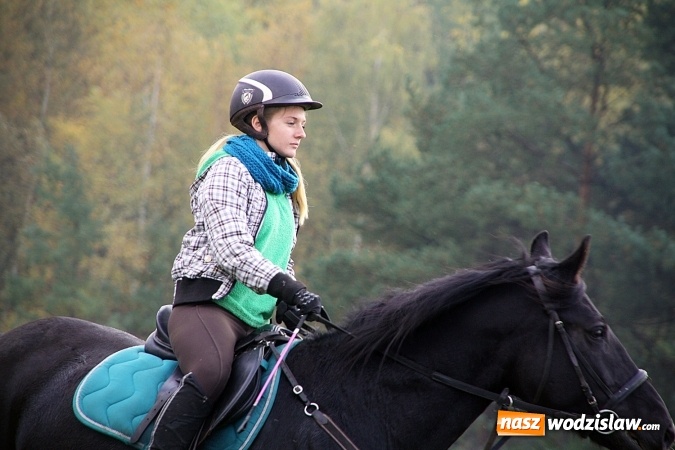 Zdjęcie w galerii na portalu naszwodzislaw.com: Hubertus w Krostoszowicach. Jeźdźcy obchodzili swoje święto wiadomości z regionu