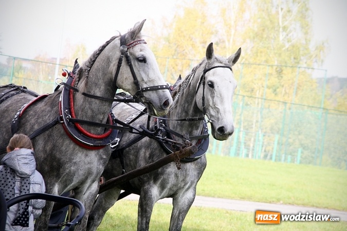 Zdjęcie w galerii na portalu naszwodzislaw.com: Hubertus w Krostoszowicach. Jeźdźcy obchodzili swoje święto wiadomości z regionu
