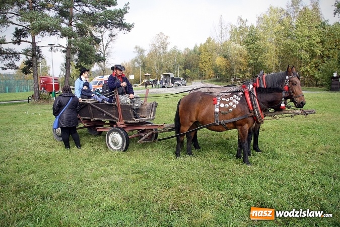 Zdjęcie w galerii na portalu naszwodzislaw.com: Hubertus w Krostoszowicach. Jeźdźcy obchodzili swoje święto wiadomości z regionu