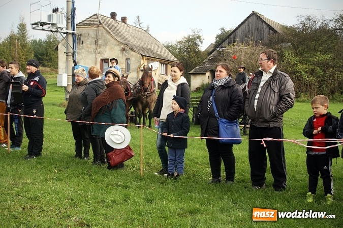 Zdjęcie w galerii na portalu naszwodzislaw.com: Hubertus w Krostoszowicach. Jeźdźcy obchodzili swoje święto wiadomości z regionu