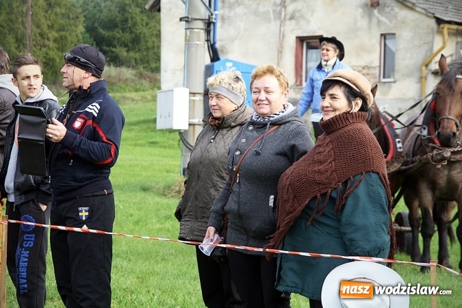 Zdjęcie w galerii na portalu naszwodzislaw.com: Hubertus w Krostoszowicach. Jeźdźcy obchodzili swoje święto wiadomości z regionu