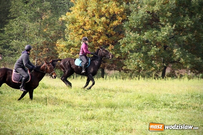 Zdjęcie w galerii na portalu naszwodzislaw.com: Hubertus w Krostoszowicach. Jeźdźcy obchodzili swoje święto wiadomości z regionu