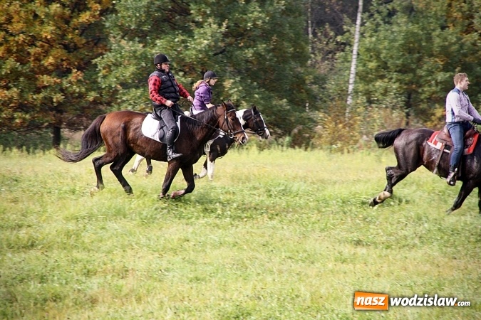 Zdjęcie w galerii na portalu naszwodzislaw.com: Hubertus w Krostoszowicach. Jeźdźcy obchodzili swoje święto wiadomości z regionu