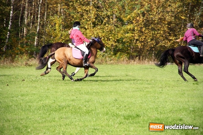 Zdjęcie w galerii na portalu naszwodzislaw.com: Hubertus w Krostoszowicach. Jeźdźcy obchodzili swoje święto wiadomości z regionu