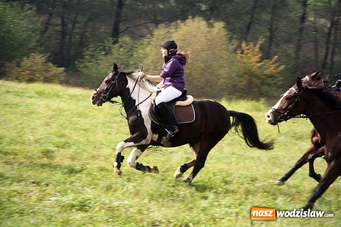 Zdjęcie w galerii na portalu naszwodzislaw.com: Hubertus w Krostoszowicach. Jeźdźcy obchodzili swoje święto wiadomości z regionu