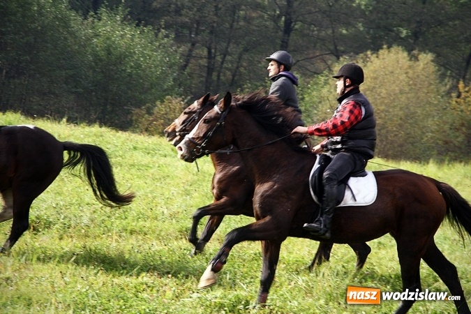 Zdjęcie w galerii na portalu naszwodzislaw.com: Hubertus w Krostoszowicach. Jeźdźcy obchodzili swoje święto wiadomości z regionu