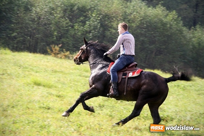 Zdjęcie w galerii na portalu naszwodzislaw.com: Hubertus w Krostoszowicach. Jeźdźcy obchodzili swoje święto wiadomości z regionu
