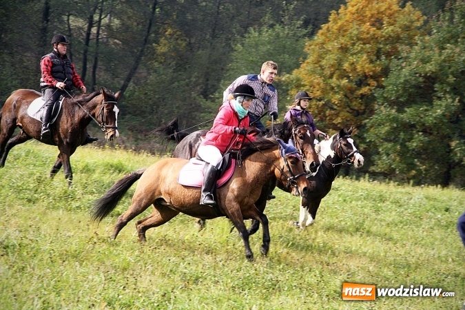 Zdjęcie w galerii na portalu naszwodzislaw.com: Hubertus w Krostoszowicach. Jeźdźcy obchodzili swoje święto wiadomości z regionu
