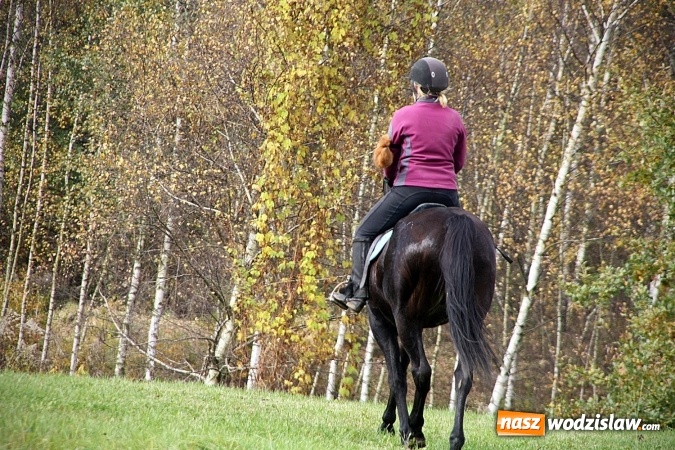 Zdjęcie w galerii na portalu naszwodzislaw.com: Hubertus w Krostoszowicach. Jeźdźcy obchodzili swoje święto wiadomości z regionu