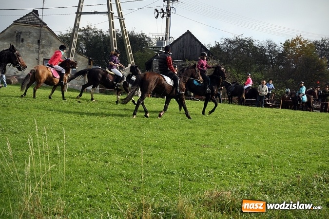 Zdjęcie w galerii na portalu naszwodzislaw.com: Hubertus w Krostoszowicach. Jeźdźcy obchodzili swoje święto wiadomości z regionu