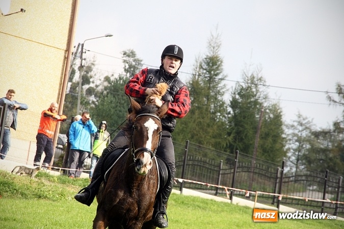 Zdjęcie w galerii na portalu naszwodzislaw.com: Hubertus w Krostoszowicach. Jeźdźcy obchodzili swoje święto wiadomości z regionu