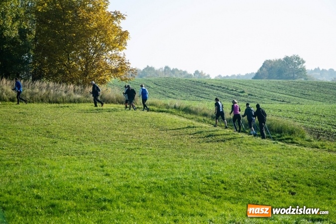 Zdjęcie w galerii na portalu naszwodzislaw.com: 8. edycja Ja i Maraton. Uczcili pamięć Zbigniewa Marszałkowskiego wiadomości z regionu