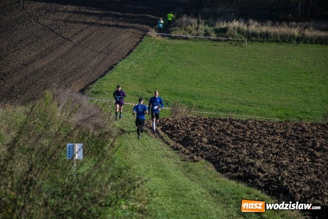 Zdjęcie w galerii na portalu naszwodzislaw.com: 8. edycja Ja i Maraton. Uczcili pamięć Zbigniewa Marszałkowskiego wiadomości z regionu