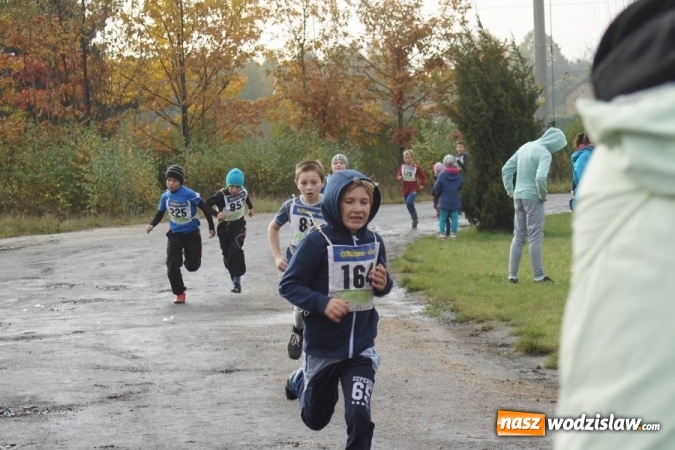 Zdjęcie w galerii na portalu naszwodzislaw.com: Ponad setka dzieci wystartowała w Gminnym Biegu Ulicznym w Mszanie wiadomości z regionu
