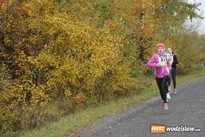Zdjęcie w galerii na portalu naszwodzislaw.com: Ponad setka dzieci wystartowała w Gminnym Biegu Ulicznym w Mszanie wiadomości z regionu