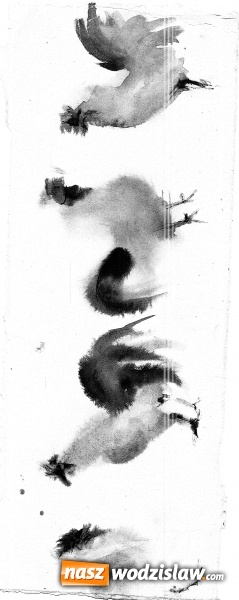 Zdjęcie w galerii na portalu naszwodzislaw.com: Wielki sukces młodej plastyczki z Wodzisławia na międzynarodowym konkursie  wiadomości z regionu