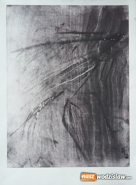 Zdjęcie w galerii na portalu naszwodzislaw.com: Wielki sukces młodej plastyczki z Wodzisławia na międzynarodowym konkursie  wiadomości z regionu