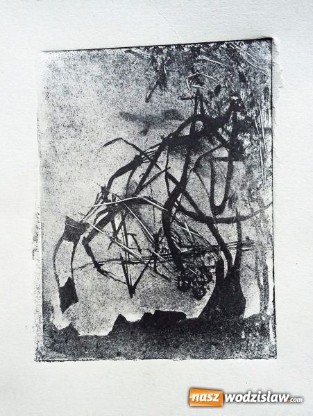 Zdjęcie w galerii na portalu naszwodzislaw.com: Wielki sukces młodej plastyczki z Wodzisławia na międzynarodowym konkursie  wiadomości z regionu