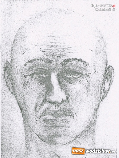 Zdjęcie w galerii na portalu naszwodzislaw.com: Zwłoki w kompleksie leśnym w rejonie tzw starego lotniska. Policjanci wracają do sprawy z 2012 roku wiadomości z regionu