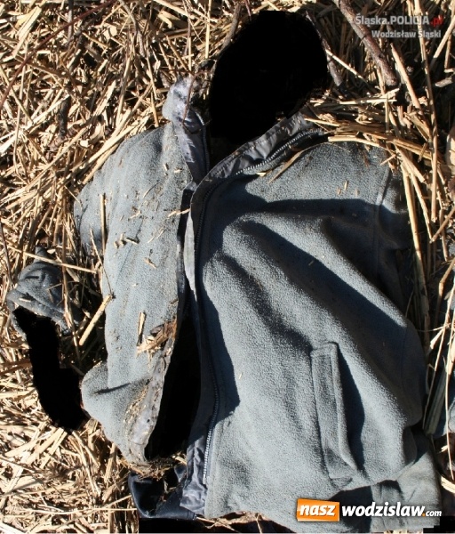 Zdjęcie w galerii na portalu naszwodzislaw.com: Zwłoki w kompleksie leśnym w rejonie tzw starego lotniska. Policjanci wracają do sprawy z 2012 roku wiadomości z regionu