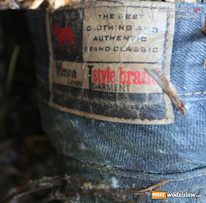 Zdjęcie w galerii na portalu naszwodzislaw.com: Zwłoki w kompleksie leśnym w rejonie tzw starego lotniska. Policjanci wracają do sprawy z 2012 roku wiadomości z regionu