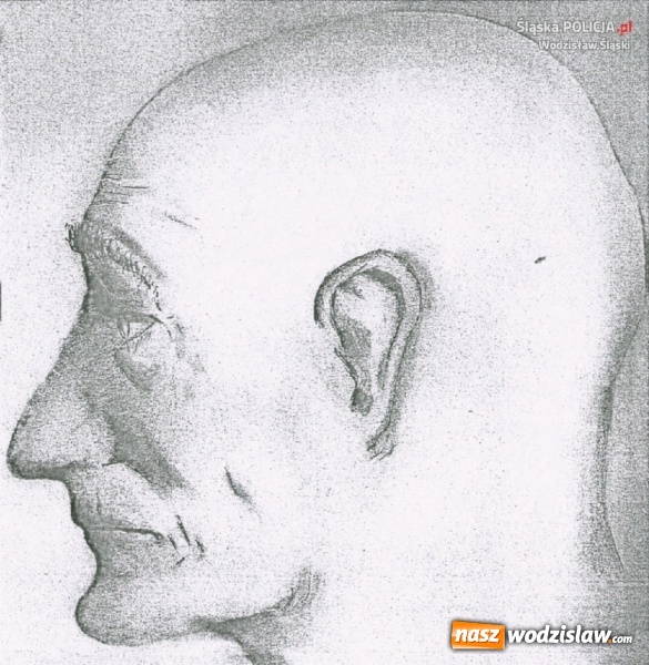 Zdjęcie w galerii na portalu naszwodzislaw.com: Zwłoki w kompleksie leśnym w rejonie tzw starego lotniska. Policjanci wracają do sprawy z 2012 roku wiadomości z regionu