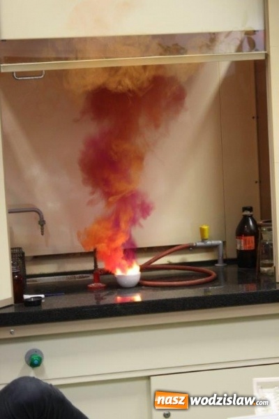 Zdjęcie w galerii na portalu naszwodzislaw.com: Matura i co dalej?  wiadomości z regionu