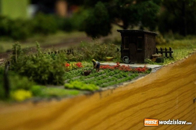 Zdjęcie w galerii na portalu naszwodzislaw.com: Tunel kolejowy z Rydułtów w Czyżowicach? Trwa wystawa makiet kolejowych wiadomości z regionu