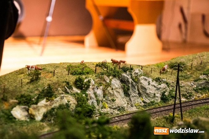 Zdjęcie w galerii na portalu naszwodzislaw.com: Tunel kolejowy z Rydułtów w Czyżowicach? Trwa wystawa makiet kolejowych wiadomości z regionu