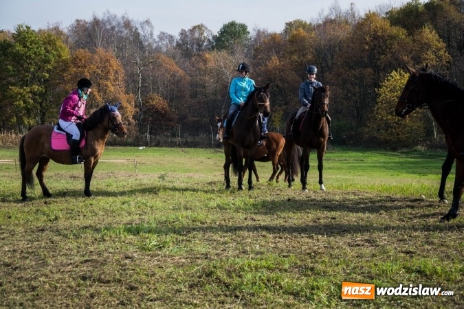 Zdjęcie w galerii na portalu naszwodzislaw.com: Święto jeźdźc&oacute;w - hubertus w Godowie. FOTORELACJA wiadomości z regionu