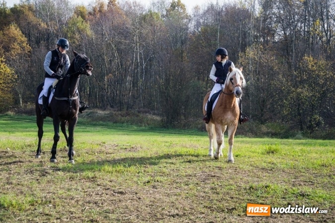 Zdjęcie w galerii na portalu naszwodzislaw.com: Święto jeźdźc&oacute;w - hubertus w Godowie. FOTORELACJA wiadomości z regionu