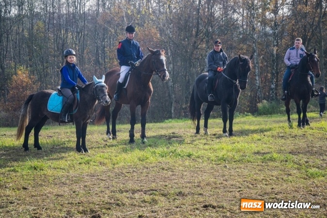 Zdjęcie w galerii na portalu naszwodzislaw.com: Święto jeźdźc&oacute;w - hubertus w Godowie. FOTORELACJA wiadomości z regionu