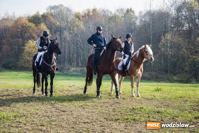 Zdjęcie w galerii na portalu naszwodzislaw.com: Święto jeźdźc&oacute;w - hubertus w Godowie. FOTORELACJA wiadomości z regionu