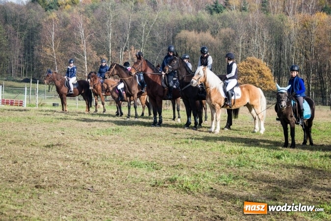 Zdjęcie w galerii na portalu naszwodzislaw.com: Święto jeźdźc&oacute;w - hubertus w Godowie. FOTORELACJA wiadomości z regionu