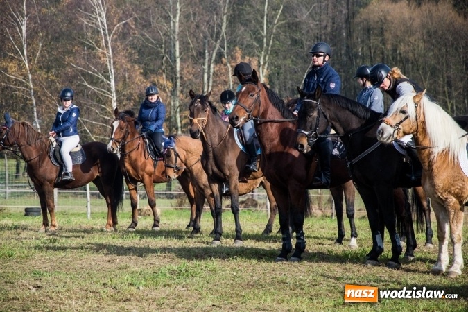 Zdjęcie w galerii na portalu naszwodzislaw.com: Święto jeźdźc&oacute;w - hubertus w Godowie. FOTORELACJA wiadomości z regionu