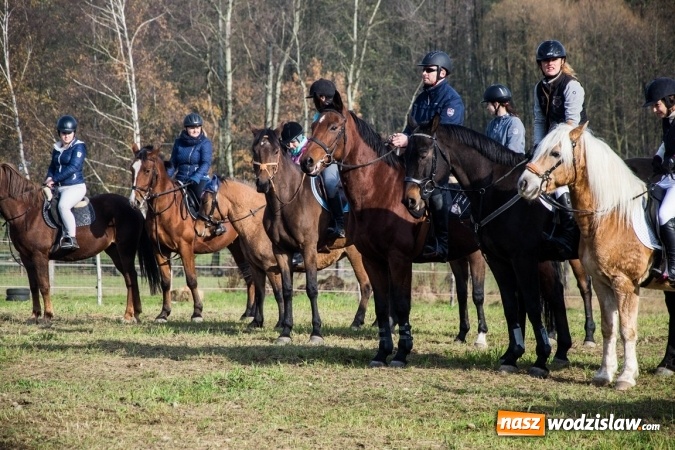 Zdjęcie w galerii na portalu naszwodzislaw.com: Święto jeźdźc&oacute;w - hubertus w Godowie. FOTORELACJA wiadomości z regionu