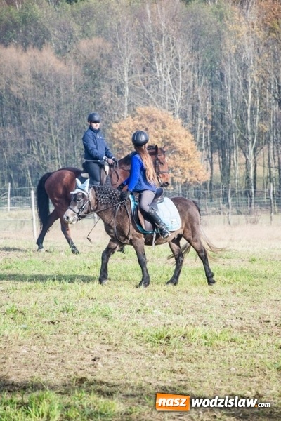 Zdjęcie w galerii na portalu naszwodzislaw.com: Święto jeźdźc&oacute;w - hubertus w Godowie. FOTORELACJA wiadomości z regionu