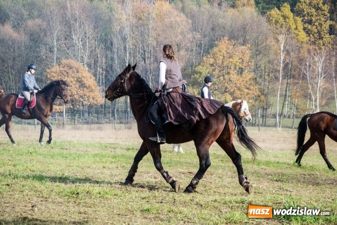 Zdjęcie w galerii na portalu naszwodzislaw.com: Święto jeźdźc&oacute;w - hubertus w Godowie. FOTORELACJA wiadomości z regionu