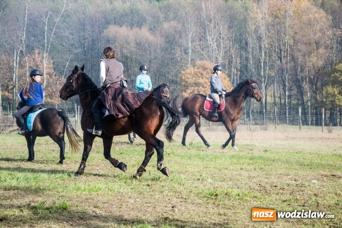 Zdjęcie w galerii na portalu naszwodzislaw.com: Święto jeźdźc&oacute;w - hubertus w Godowie. FOTORELACJA wiadomości z regionu